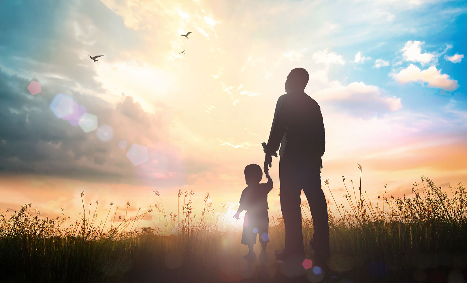 John Sheasby - Seed to Seed August 2022